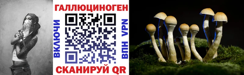Галлюциногенные грибы GOLDEN TEACHER  KRAKEN онион  Ленинградская 
