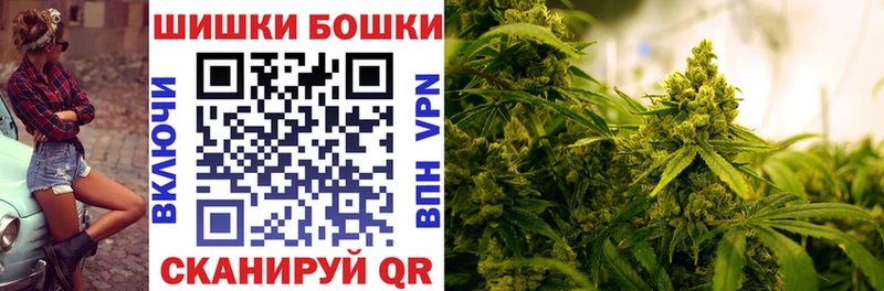 Бошки Шишки ГИДРОПОН  Ленинградская 